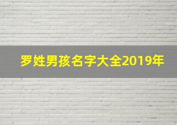 罗姓男孩名字大全2019年