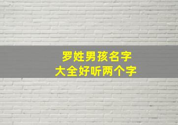 罗姓男孩名字大全好听两个字