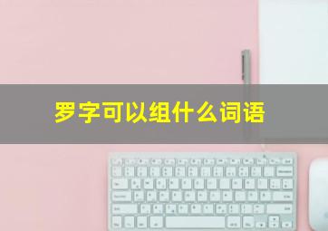 罗字可以组什么词语