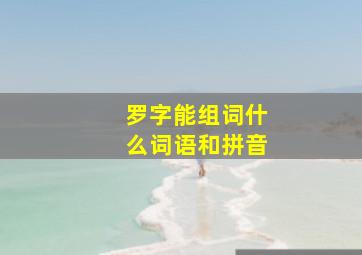 罗字能组词什么词语和拼音