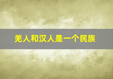 羌人和汉人是一个民族