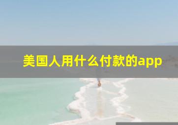 美国人用什么付款的app