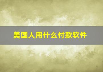 美国人用什么付款软件