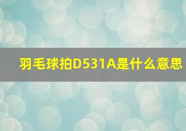 羽毛球拍D531A是什么意思