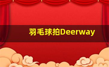 羽毛球拍Deerway