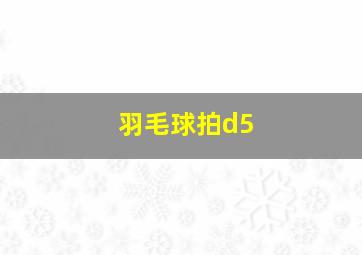 羽毛球拍d5