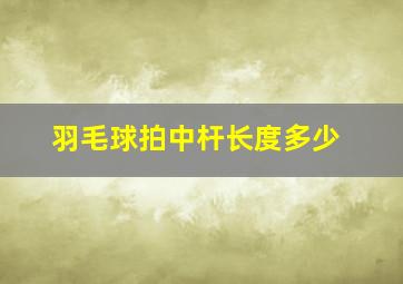 羽毛球拍中杆长度多少