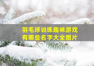 羽毛球训练趣味游戏有哪些名字大全图片