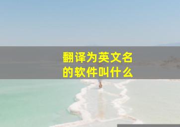 翻译为英文名的软件叫什么