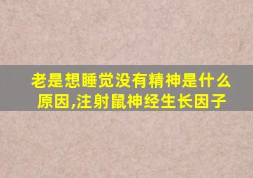 老是想睡觉没有精神是什么原因,注射鼠神经生长因子