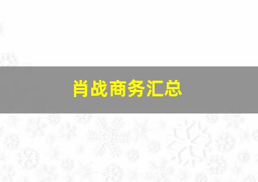 肖战商务汇总