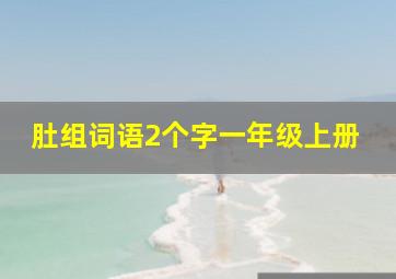 肚组词语2个字一年级上册