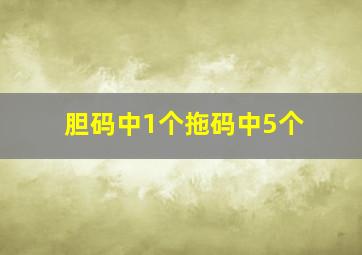 胆码中1个拖码中5个