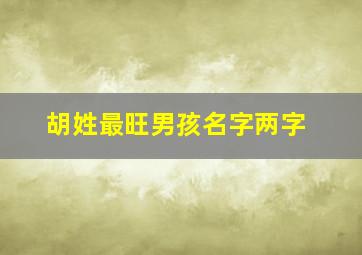 胡姓最旺男孩名字两字