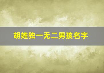 胡姓独一无二男孩名字