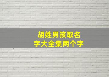 胡姓男孩取名字大全集两个字