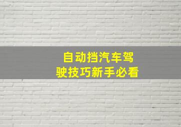 自动挡汽车驾驶技巧新手必看