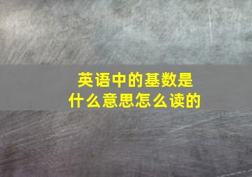 英语中的基数是什么意思怎么读的