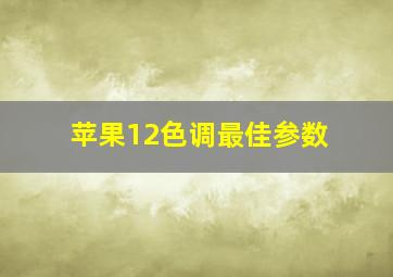 苹果12色调最佳参数