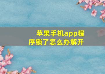 苹果手机app程序锁了怎么办解开