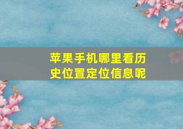 苹果手机哪里看历史位置定位信息呢