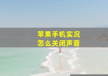 苹果手机实况怎么关闭声音