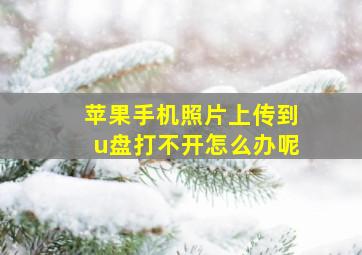 苹果手机照片上传到u盘打不开怎么办呢