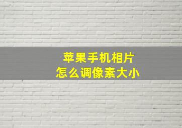 苹果手机相片怎么调像素大小