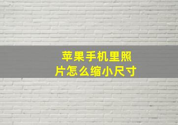 苹果手机里照片怎么缩小尺寸