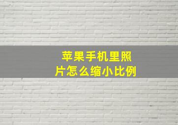 苹果手机里照片怎么缩小比例