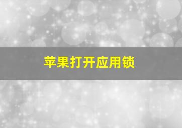 苹果打开应用锁