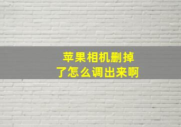 苹果相机删掉了怎么调出来啊