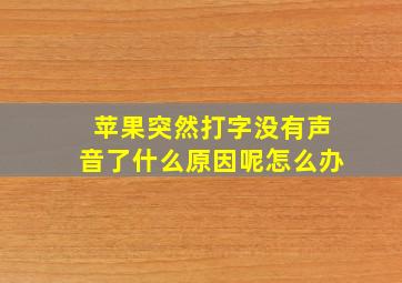 苹果突然打字没有声音了什么原因呢怎么办