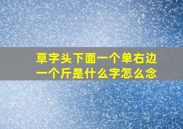 草字头下面一个单右边一个斤是什么字怎么念