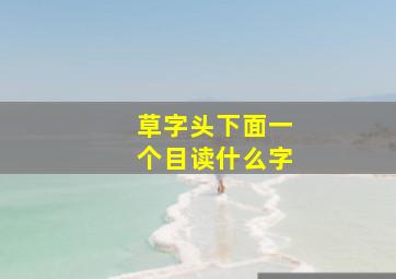 草字头下面一个目读什么字