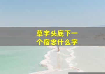 草字头底下一个宿念什么字