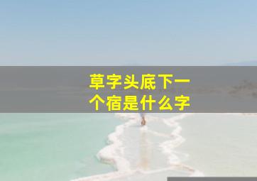 草字头底下一个宿是什么字