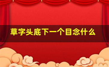 草字头底下一个目念什么