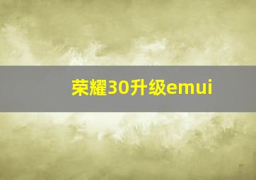 荣耀30升级emui