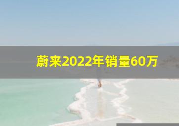 蔚来2022年销量60万