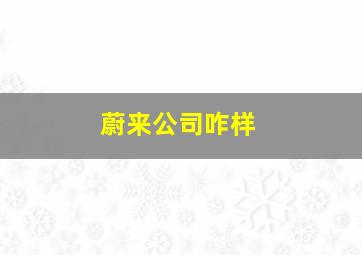 蔚来公司咋样