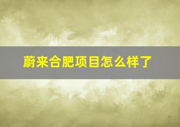 蔚来合肥项目怎么样了