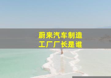 蔚来汽车制造工厂厂长是谁