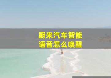 蔚来汽车智能语音怎么唤醒