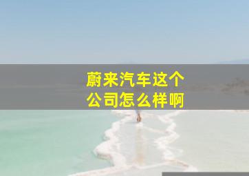 蔚来汽车这个公司怎么样啊