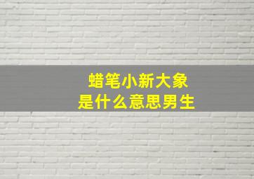 蜡笔小新大象是什么意思男生