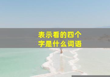 表示看的四个字是什么词语