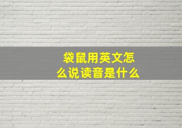 袋鼠用英文怎么说读音是什么