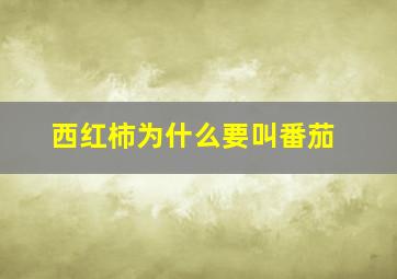 西红柿为什么要叫番茄