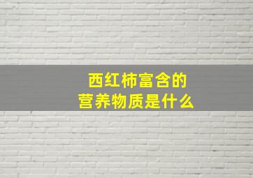 西红柿富含的营养物质是什么